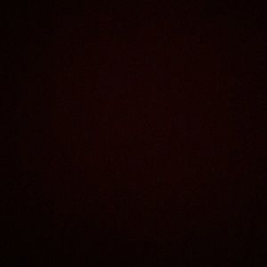 Meet your Posher, Ivy